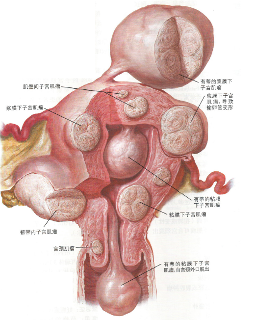 娱乐生活 第35页