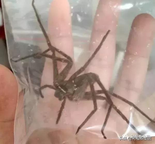 第201页
