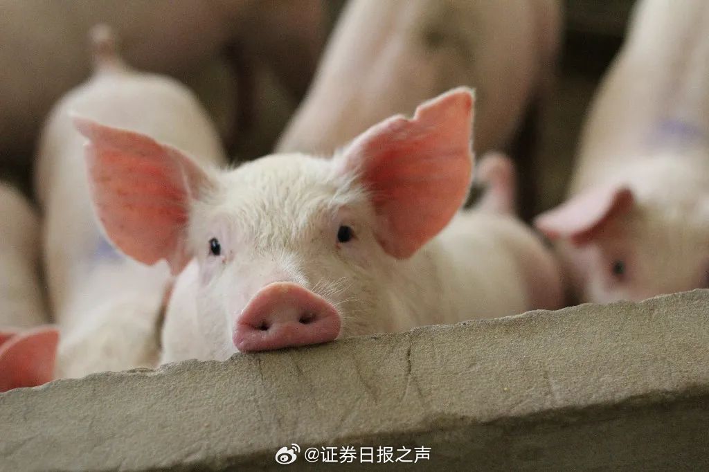 娱乐生活 第17页