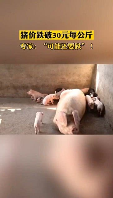 猪价跌破30元猪价跌破30元，市场变化、原因分析及未来趋势预测